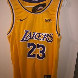 Nike Lebron James Los Angeles Lakers wish jersey